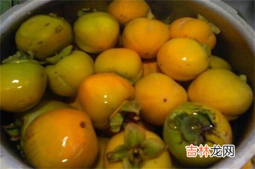 柿子外皮发黑怎么回事,请问柿子变黑是怎么回事?