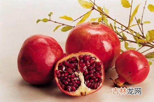 石榴水弄衣服上怎么洗,石榴汁弄到衣服上怎么洗掉