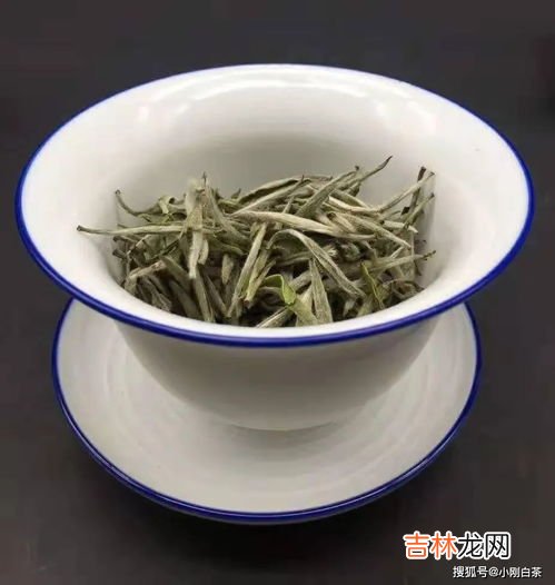 白茶能煮吗,老白茶怎么煮 煮多久好喝