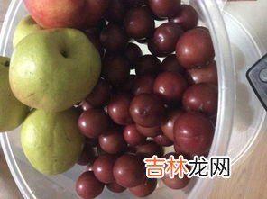 金弹子果实能吃吗,金弹子的果实能吃吗