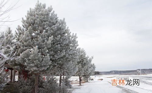 长沙冬天温度一般是多少度,湖南冬天最低温度是多少？