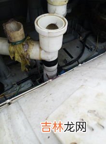 为什么洗衣机突然自己不运转了,洗衣机突然不转了是什么原因