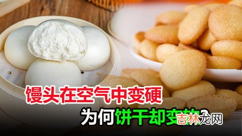 蛋糕面粉可以做馒头吗,用蛋糕粉可以做馒头吗