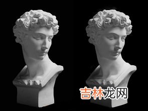 石膏是什么做的,石膏粉都是什么成分组成的