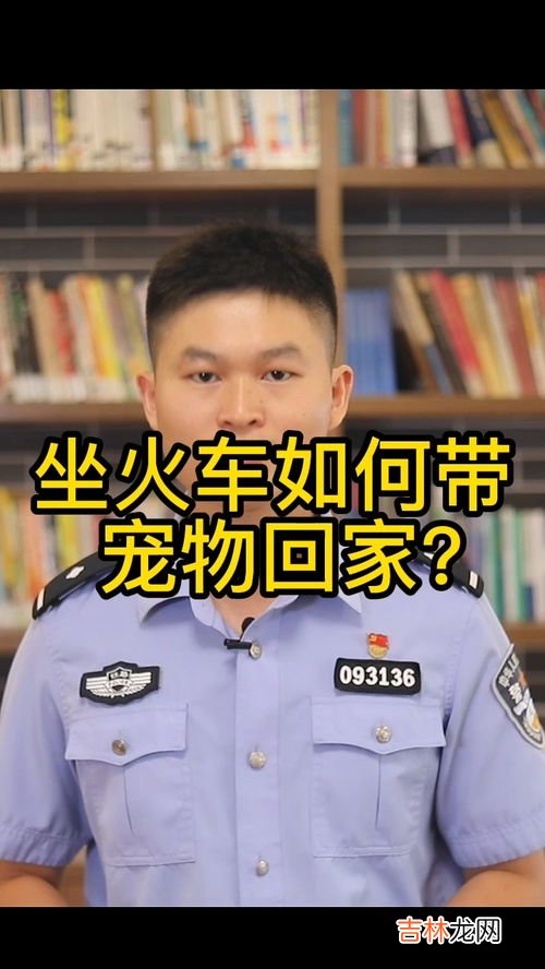 高铁可以带猫吗,高铁可以带猫吗