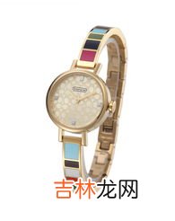 蔻驰手表质量怎么样,coach手表怎么样 了解coach手表的品质和特点？
