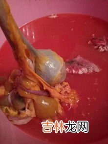 鸭肚是鸭的什么部位,鸭肚和鸭肠有什么区别？？分别都是什么部位啊？？