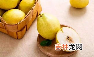 地梨子学名叫什么,宁夏人说的地梨子学名叫什么
