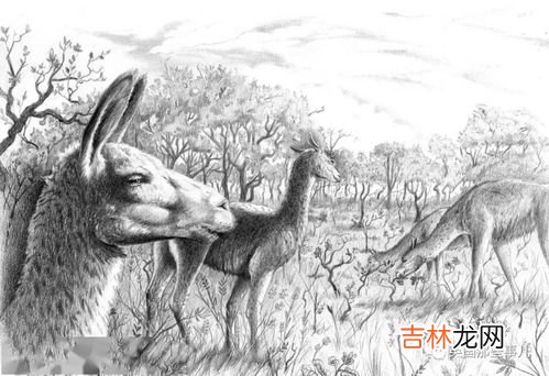 已灭绝又出现的动物,已灭绝又被复活的动物是什么？