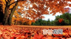 秋季看红叶需要准备什么,去看红叶该带什么？怎样挑登山杖呢？