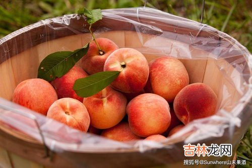 吃桃子的好处和坏处,吃桃子有什么好处和坏处