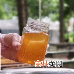 蜂蜜能减肥吗,蜂蜜真能减肥吗