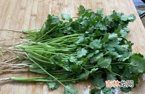 香菜怎么长时间储存,香菜怎样储存 怎样存放香菜