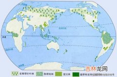 全球森林面积变化,地球上的森林增加1倍后会发生什么？科学家：后果可能难以承受