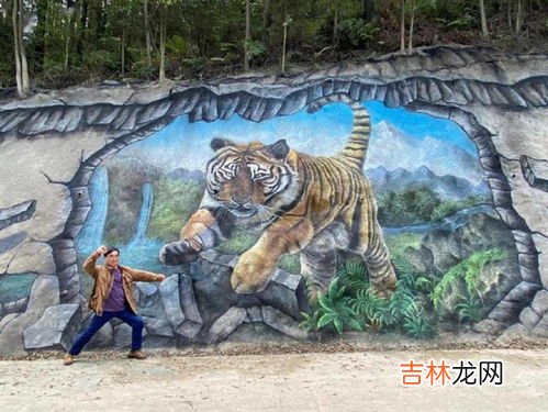 森蚺吉尼斯世界纪录最大的蛇,世界记录最大的蛇