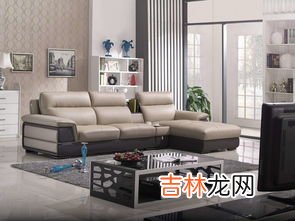 沙发除螨的方法,快速除去沙发螨虫的妙招？