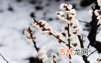 立冬是秋天还是冬天,立冬是代表深秋还是初冬?