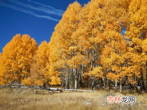 看红叶穿什么衣服,香山红叶什么时候最好看？看红叶穿什么衣服适合？
