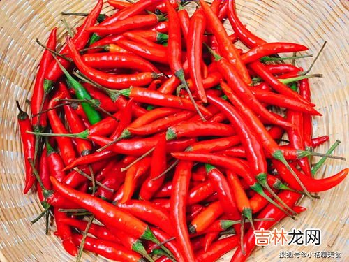 辣椒冻了还能吃吗,辣椒冰冻软了还能吃吗