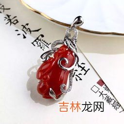 珊瑚是生物还是非生物,珊瑚到底是生物还是植物?