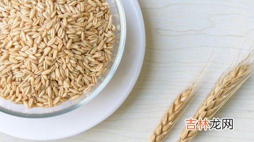 燕麦的热量,燕麦片的热量