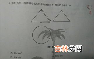 圆的面积怎么算,怎么计算圆的面积？