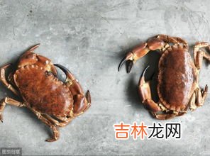 螃蟹可以冷冻吗,螃蟹能不能冷冻保存?