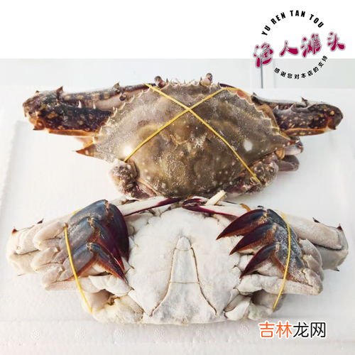 螃蟹可以冷冻吗,螃蟹能不能冷冻保存?