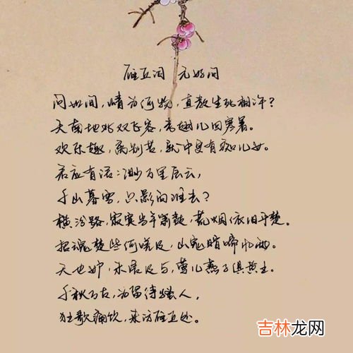问世间情为何物下一句,问世间情为何物,下一句是什么