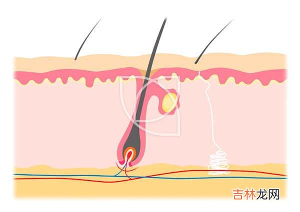 电子产品 混合皮肤毛孔粗大用什么洗面奶