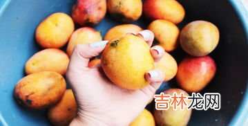 芒果怎么保存,芒果的最佳储存方法