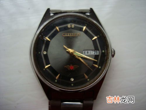 西铁城手表模式里的字母代表什么,求教高手,如何识别西铁城手表上字母所代表的信息