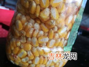 粮食如何长时间储存,家里怎样长期储存粮食