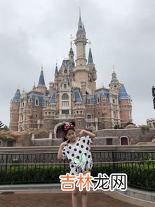 上海迪士尼攻略,上海迪士尼攻略？