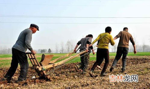 立冬后种小麦还行吗,立冬后还能种小麦吗？小麦不会冻死吗？