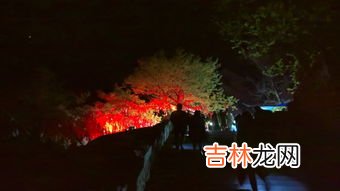 泰山能夜爬吗,泰山是白天爬好还是夜爬好?