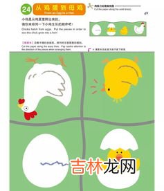 动手能力差是什么原因,动手能力差是什么原因