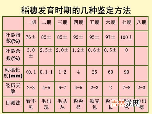 水稻一立方米大约多少斤,一立方的稻谷到底有多重