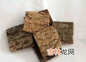 杜仲茶的作用,杜仲茶的功效是什么