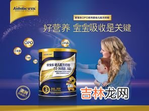 蒙古族的 哪一民族把奶制品称为白食,草原的美食有哪些