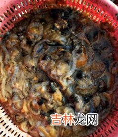 瑶柱是海鲜吗,瑶柱是海鲜吗 它属于海鲜