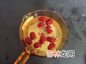 生姜红枣茶的禁忌,喝姜枣茶有什么好处和禁忌，姜枣茶的功效与作用及禁忌