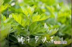 端午节的朋友圈文案沙雕 端午节的朋友圈说说搞笑