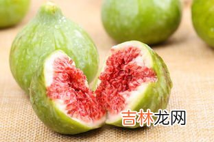 无花果怎么保存,新鲜无花果怎么保存