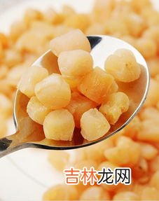 扇贝的营养价值和禁忌,扇贝不能和什么同食,吃扇贝不能吃什么