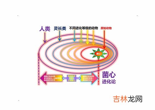 人类认识发展的根本动力在于,人类认识社会改造社会的根本动力是什么？