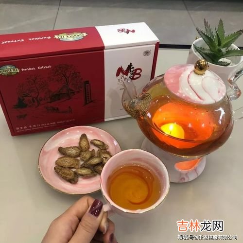 牛蒡茶经期可以喝吗,牛蒡茶是凉性还是热性 女人喝牛蒡茶的坏处