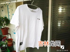 毛衣洗了要不要甩干,毛衣能否用洗衣机洗 毛衣能用洗衣机甩干吗