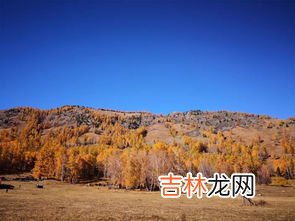 阿尔泰山在哪里,阿尔泰山阴山在哪