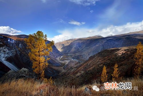 阿尔泰山在哪里,阿尔泰山阴山在哪